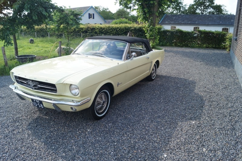 Ford Mustang Cabrio (5)